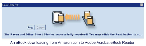 Titles in Adobe Acrobat 
eBook Reader format, along with Microsoft Reader format, are 
available from many online booksellers.